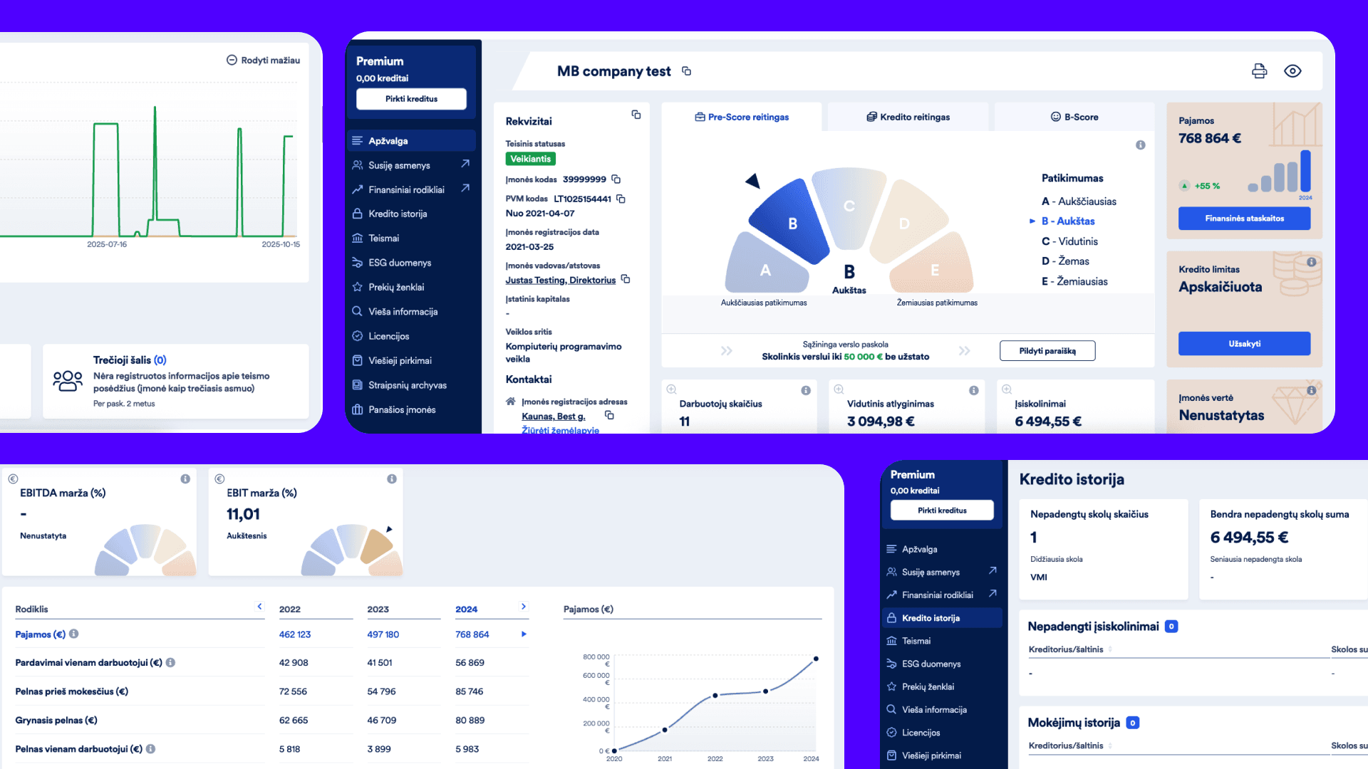 Detailes Lithuanian business report generation platform
