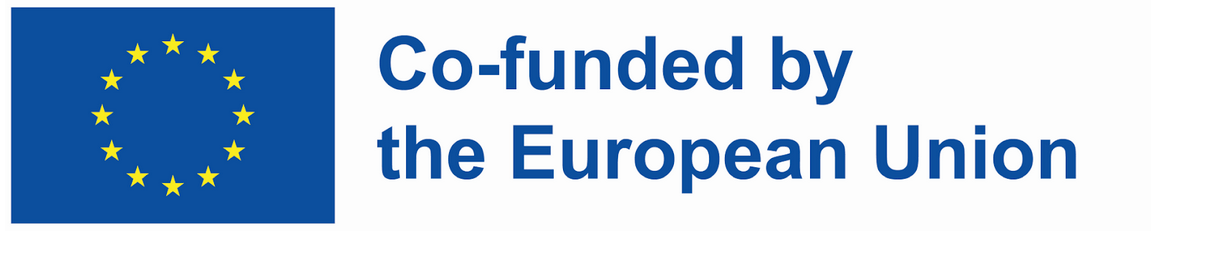 Co-funded by the European Union